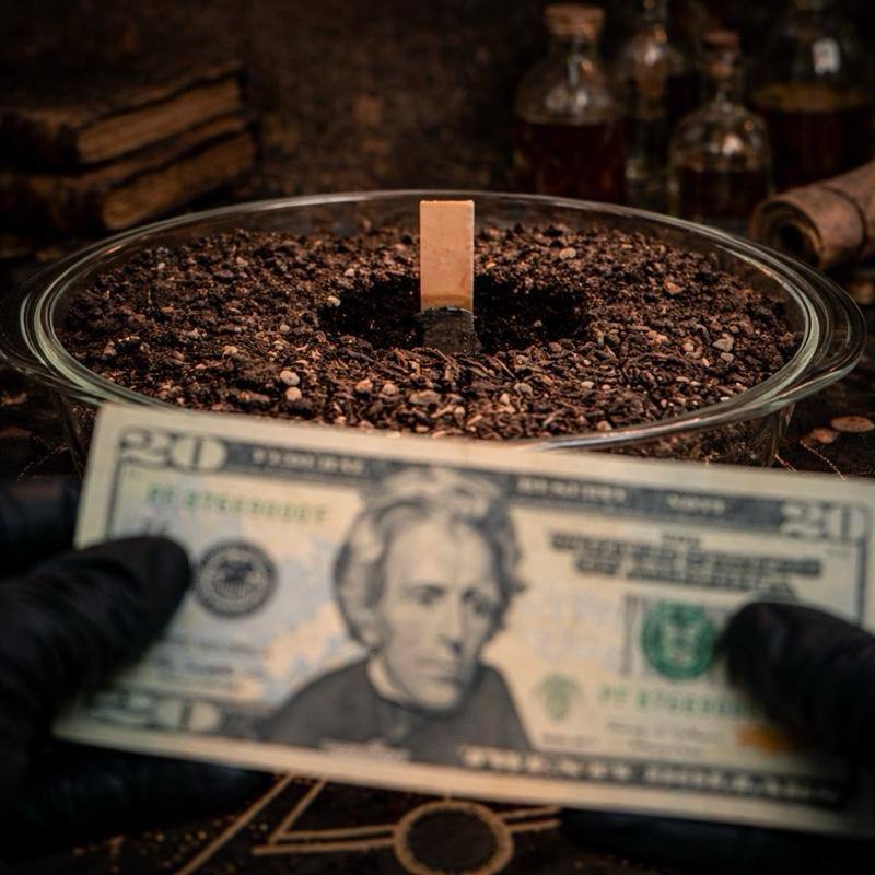 MONEY & ABUNDANCE