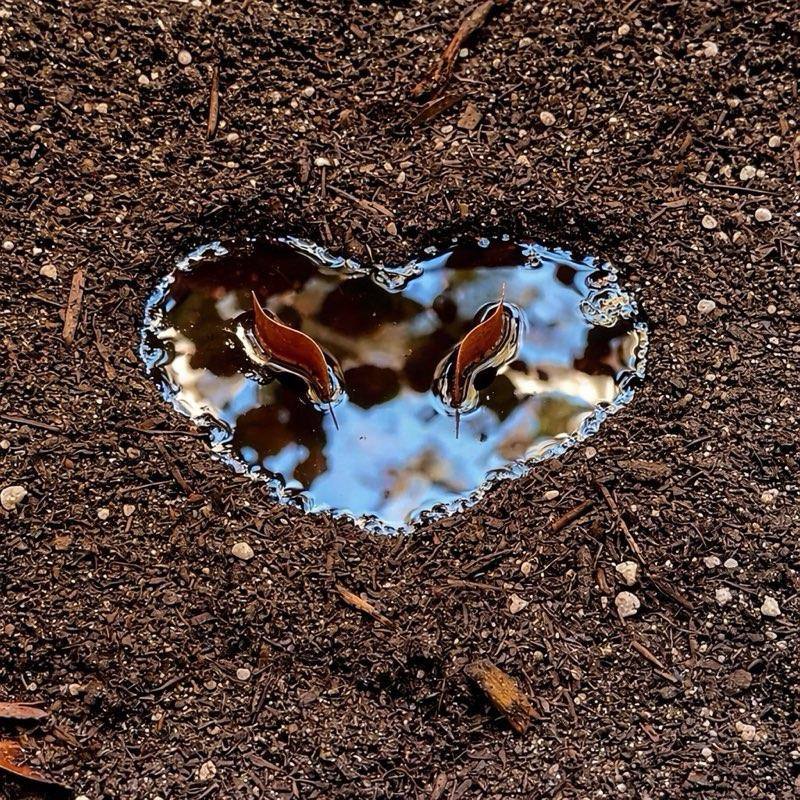 Manifest Love Earth Candle – Ritual Candle for Attracting Love