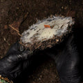 Earthborn Ritual Candle Raw Handcrafted